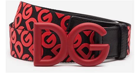 dg belt red and black.